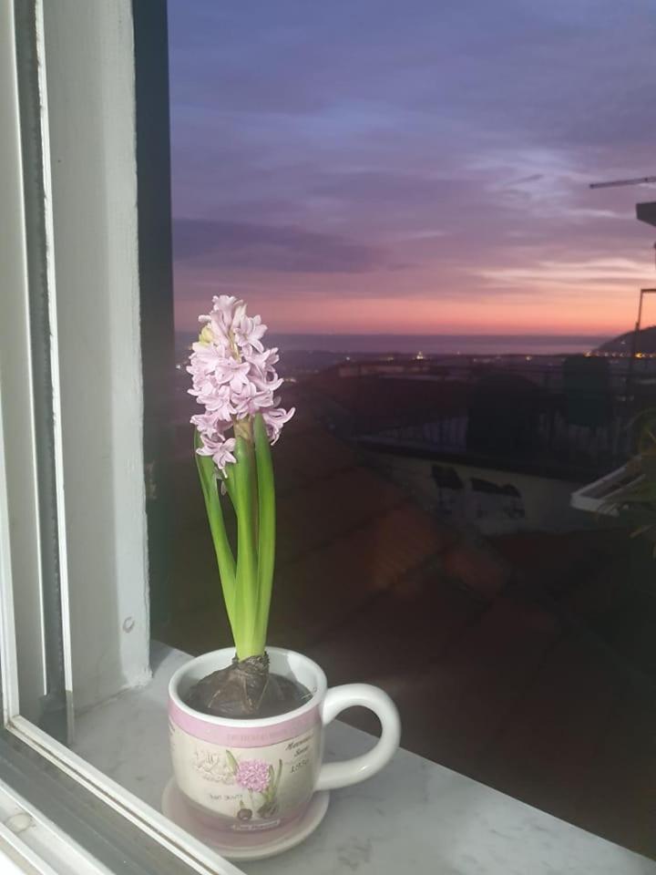 Appartamento Bellavista Castelnuovo Magra Esterno foto